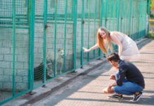 A young family is looking for a pet in a dog shelter.