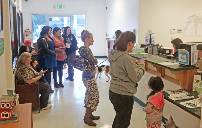crowded_shelter_lobby The lobby of an animal shelter crowded with people.