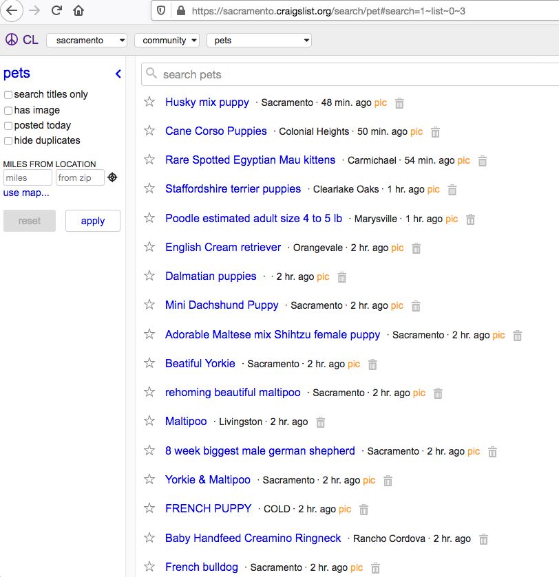 An Open Letter to Craigslist and Facebook Whole Dog Journal