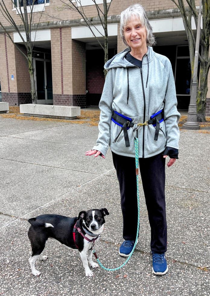 sue_abby A dog walking bet can be a convenient alternative to holding a leash with your hand.