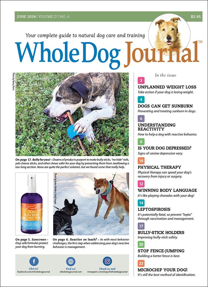 Download The Full June 2024 Issue PDF - Whole Dog Journal