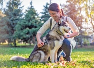 Your dog losing hair is upsetting, but hair loss isn't always harmful.