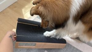 The Lovintry M-shaped dog scratch pad was the best dog scratch pad of those reviewed.