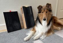 The best dog scratch pads turn dog nail trims into fun cooperative care.