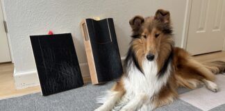 The best dog scratch pads turn dog nail trims into fun cooperative care.