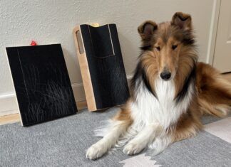 The best dog scratch pads turn dog nail trims into fun cooperative care.