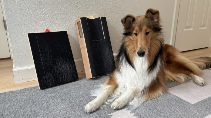The best dog scratch pads turn dog nail trims into fun cooperative care.
