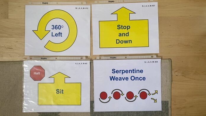 How to Get Involved in Rally, an Obedience-Based Dog Sport - Whole Dog ...
