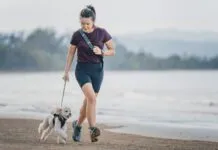 Knowing how to calm a dog down is necessary both indoors and outdoors.