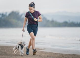 Knowing how to calm a dog down is necessary both indoors and outdoors.