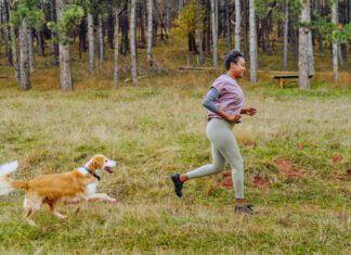Why do dogs run away? I can be from excitement and a desire to play.