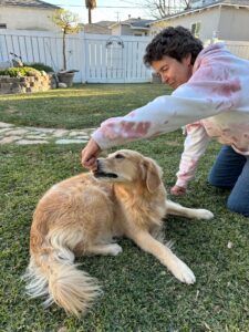 Teach your dog to play dead by