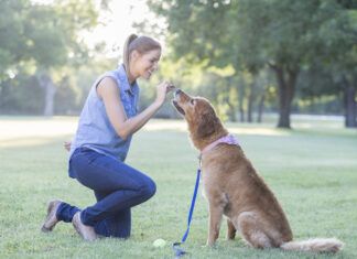 Positive Reinforcement Dog Training: 6 Tips for Training With Treats Training with treats is an effective means of positive reinforcement training so long the treats are not a bribe.