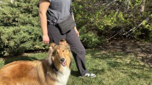 The Wild One Treat Pouch is the best dog treat pouch for the fashion conscious who are averse to fanny pack style treat pouches.