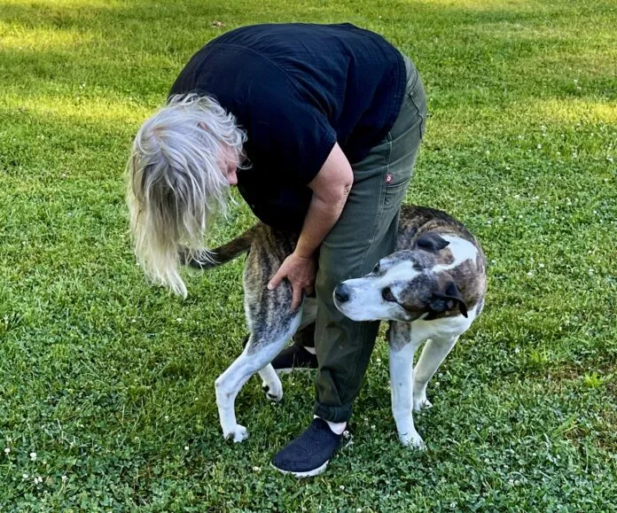 What behavior does your dog have that drives you slightly crazy?