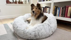 The donut cuddler is another washable dog bed option.
