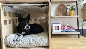 A washable dog bed that can fit into a crate can help make a safe space for your dog.