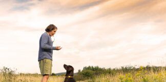 Dog whistles whether they're audible or not can play an important role in teaching your dog training cues.