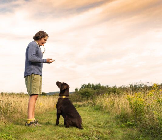 Dog whistles whether they're audible or not can play an important role in teaching your dog training cues.