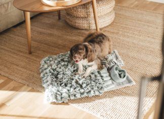 Catnip doesn't do much for most dogs. Rarely, a few dogs may experience a mild sedative effect.