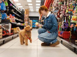 Dog essentials are the gear and products that make your dog's training and life easier and more complete.