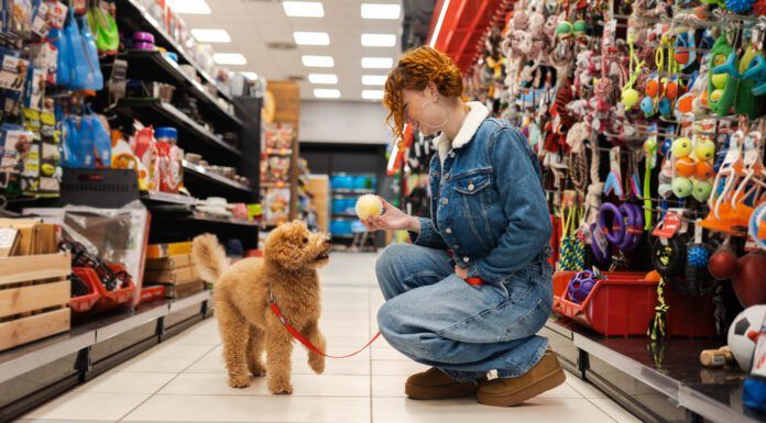 Dog essentials are the gear and products that make your dog's training and life easier and more complete.