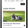 Join Whole Dog Journal - 1-year digital subscription + online archive access