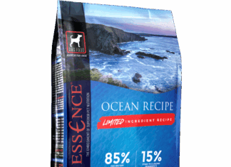 Essence_Dog_LIR_Ocean