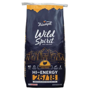 Triumph_Dog_WildSpirit_HiEnergy
