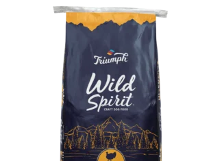 Triumph_Dog_WildSpirit_HiEnergy