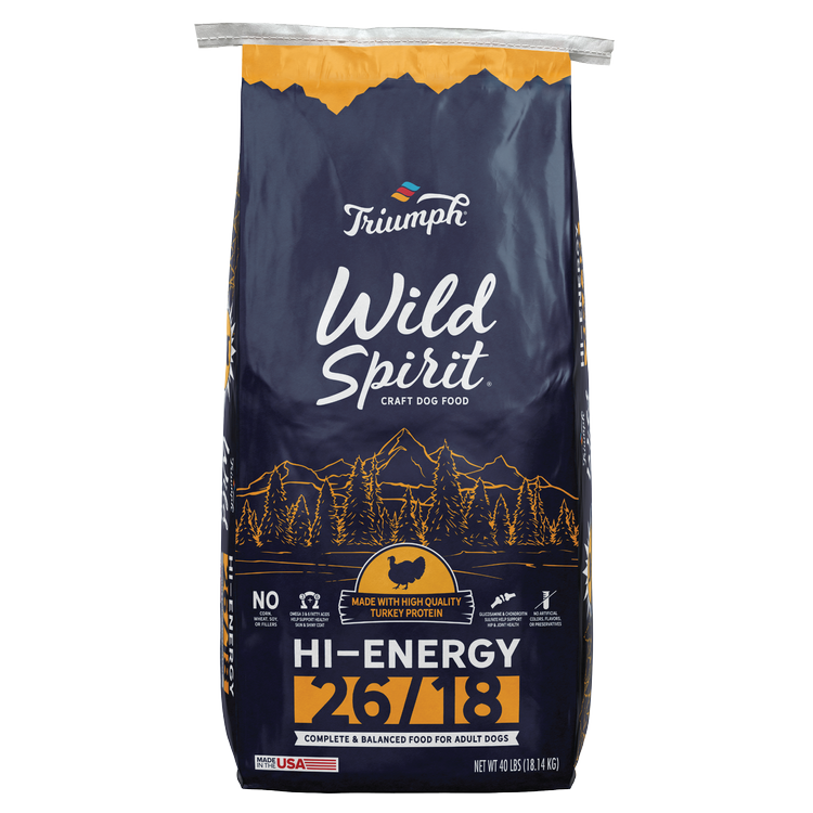 Triumph_Dog_WildSpirit_HiEnergy
