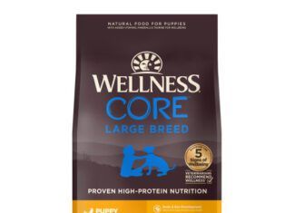 wellness core chicken large breed puppy