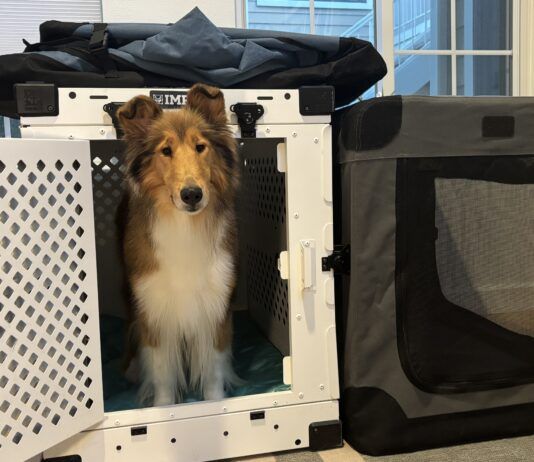 Collapsible dog crates are a friend to sporting dogs and their traveling owners.