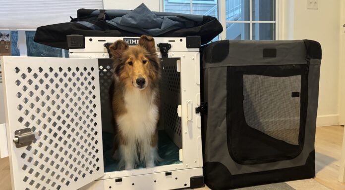 Collapsible dog crates are a friend to sporting dogs and their traveling owners.