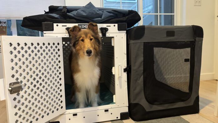 Collapsible dog crates are a friend to sporting dogs and their traveling owners.