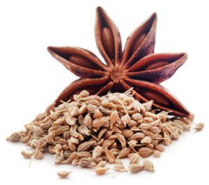 Anise and star anise are two different plants. Anise is the safer of the two for dogs.