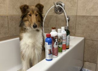 The Best Flea & Tick Shampoos for Dogs We tested five shampoos to find out which is the best flea and tick shampoo.