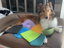 What are the best dog lick mats? We tested six of the most popular dog lick mats to find out.