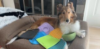 What are the best dog lick mats? We tested six of the most popular dog lick mats to find out.