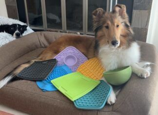 What are the best dog lick mats? We tested six of the most popular dog lick mats to find out.