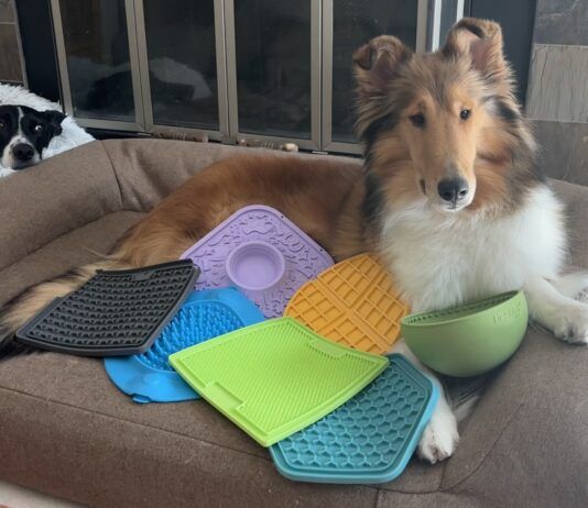The Best Dog Lick Mats What are the best dog lick mats? We tested six of the most popular dog lick mats to find out.