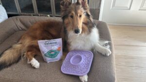 The Woof Lick Mat is easy to use and stays put on hard surfaces.