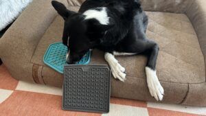 The Frisco dog lick mat keeps dogs entertained, but might additional effort to get clean.