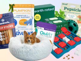 The Best Black Friday Deals for Dogs 2025 Dog black Friday deals offer you the chance to save on the dog gear you use every day.