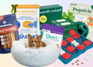 Dog black Friday deals offer you the chance to save on the dog gear you use every day.