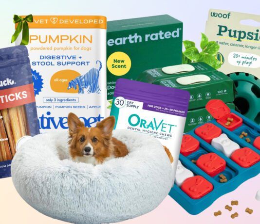 Dog black Friday deals offer you the chance to save on the dog gear you use every day.