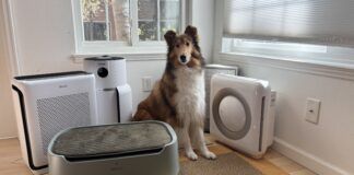 Pet air purifiers can help with pet dander and dust in your home.