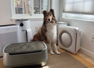 Pet air purifiers can help with pet dander and dust in your home.
