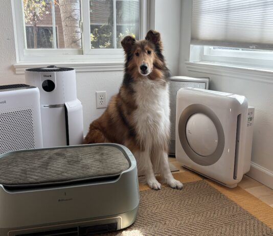 Pet air purifiers can help with pet dander and dust in your home.