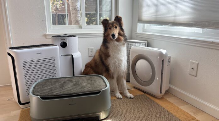Pet air purifiers can help with pet dander and dust in your home.